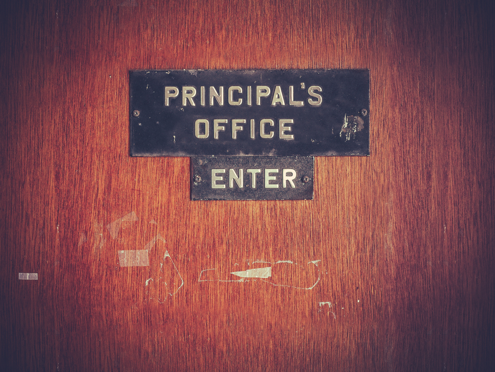 principle or principal